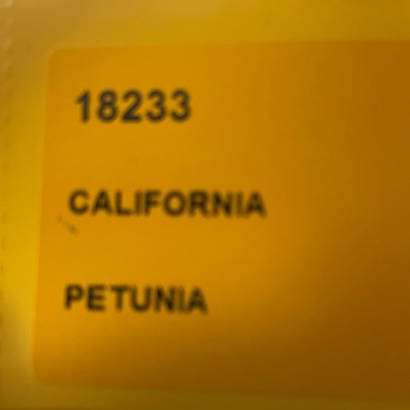 Authentic New Plinio Visona Italia Handbag in full grain calf skin - Picture 6 of 9